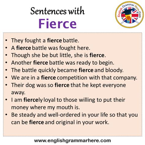 pronunciation of fierce|fierce in a sentence.